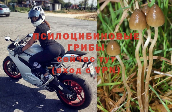ALPHA-PVP Дмитровск