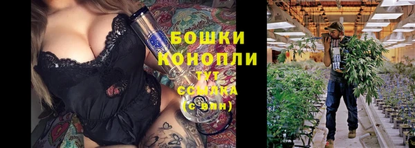 мет Дмитров