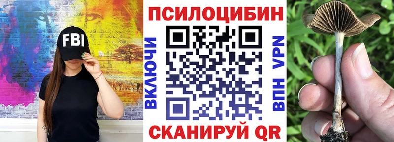 Купить закладки  Карабулак  Галлюциногенные грибы MAGIC MUSHROOMS 